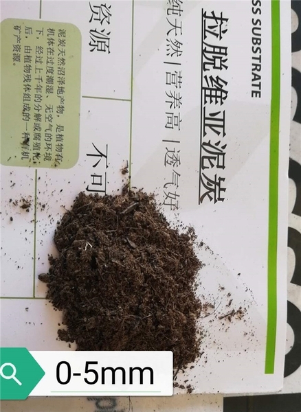 泥碳土
